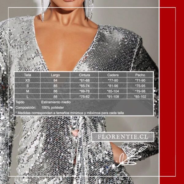 Medidas vestido plata corto manga larga Begoña